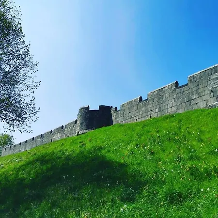 Relaxing Home Off Bishy Rd Perfect For City Break