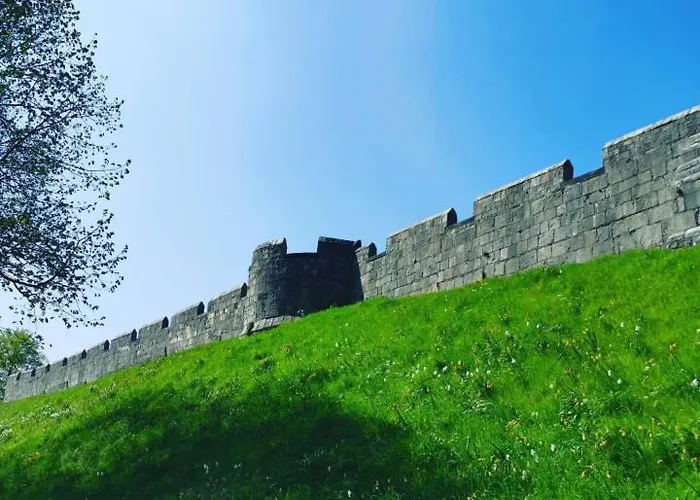 Relaxing Off Bishy Rd Perfect For Break